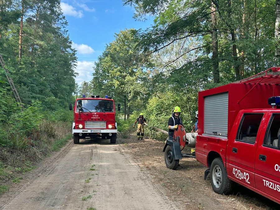 Pożar lasu – ćwiczenia dla Druhów OSP