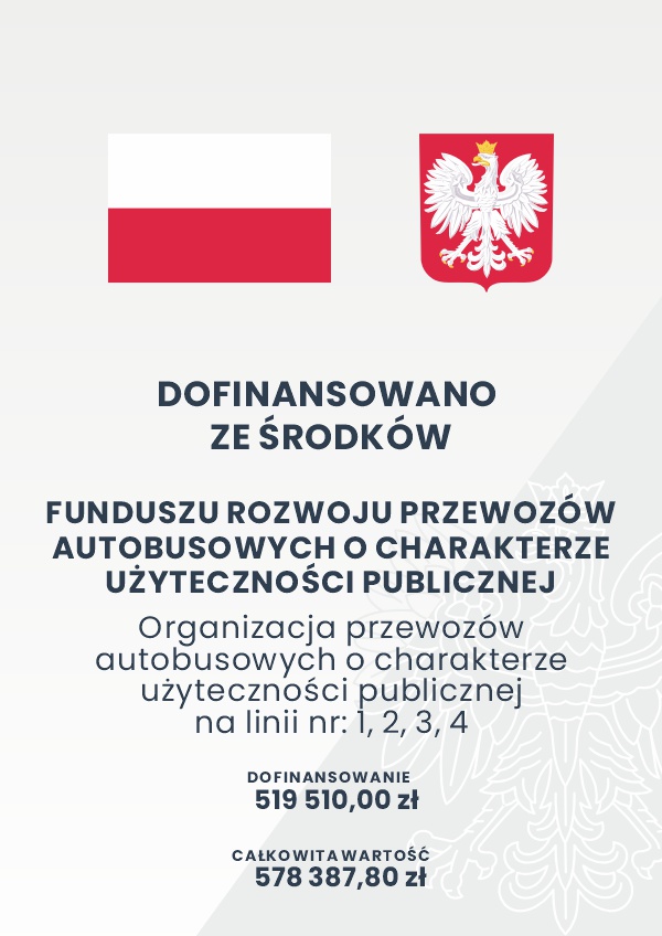  Organizacja przewozów autobusowych o charakterze użyteczności publicznej na terenie Gminy i Miasta Witkowo